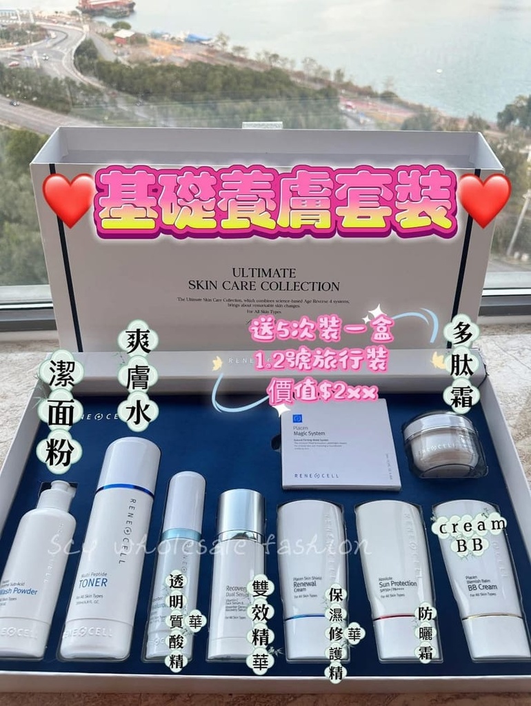 Renecell基礎套裝